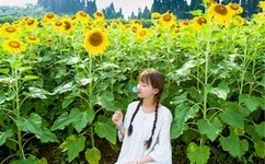 今天晚英语课代表让你桶个够